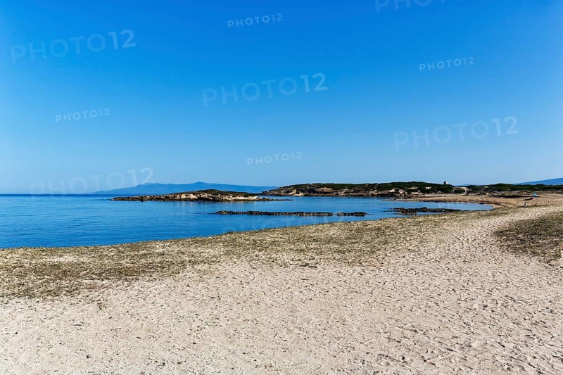 Coastline