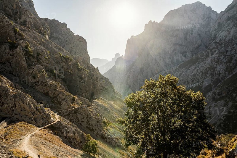 Hiking trail through the Cares Gorge