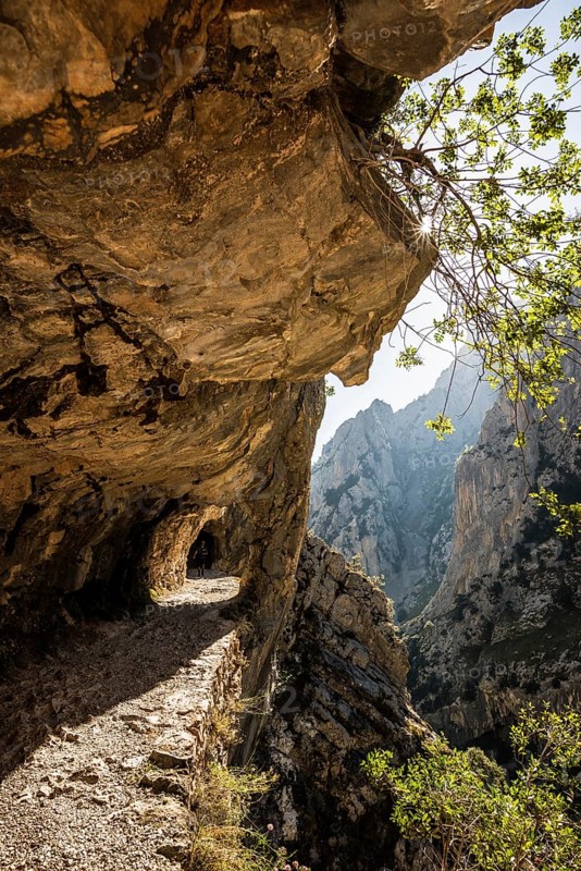 Hiking trail through the Cares Gorge