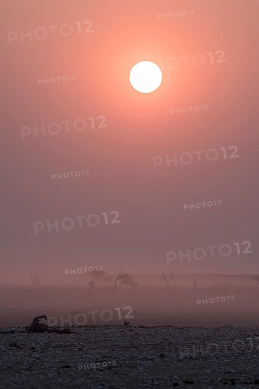 Sunset over the Etosha Pan