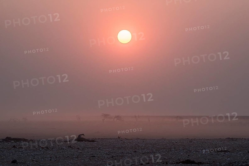 Sunset over the Etosha Pan