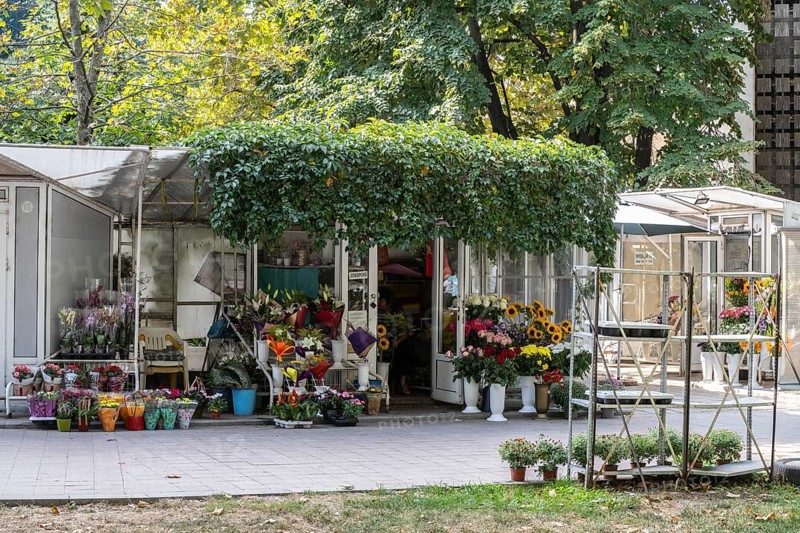 Flower shop