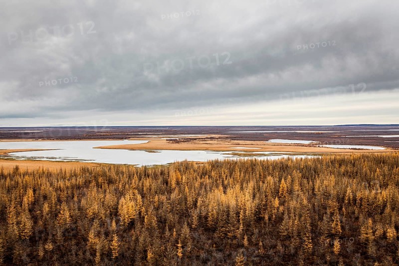 Tundra