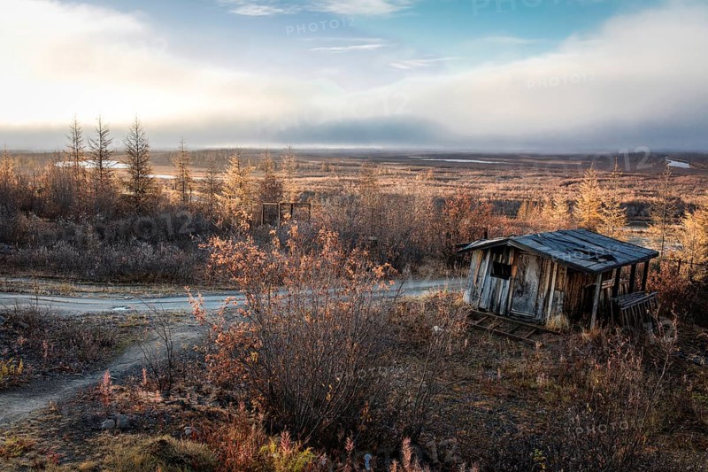 Dilapidated hut