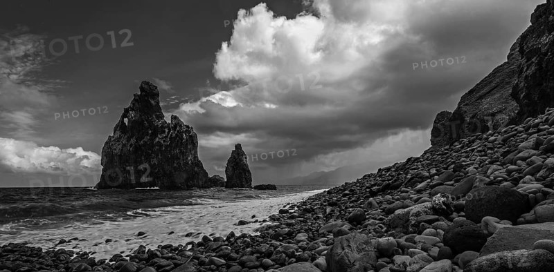 Black and white photo