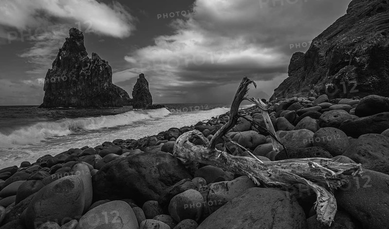 Black and white photo