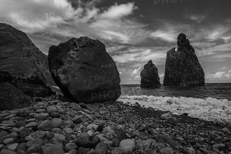 Black and white photo