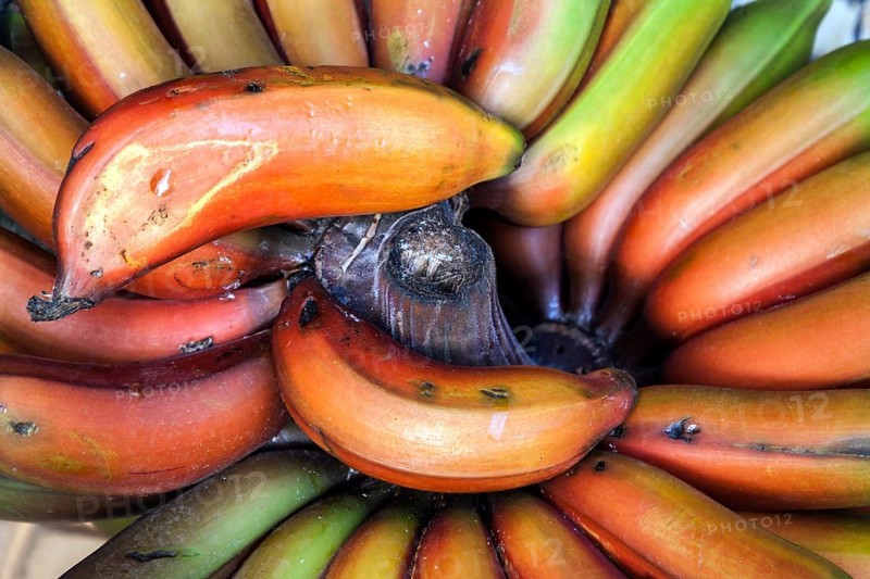 Red bananas