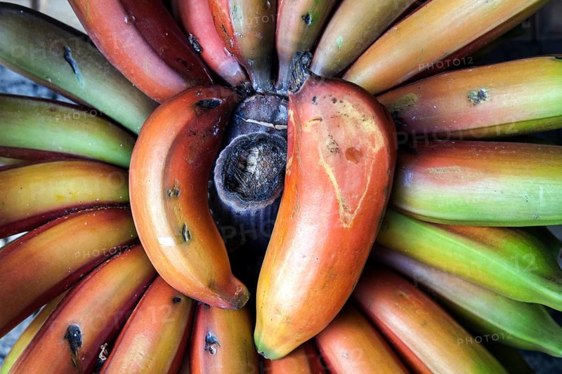 Red bananas