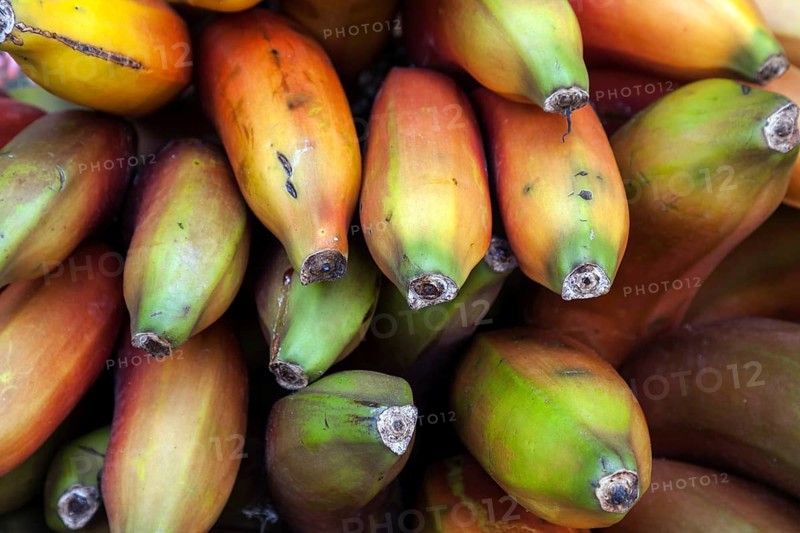Red bananas