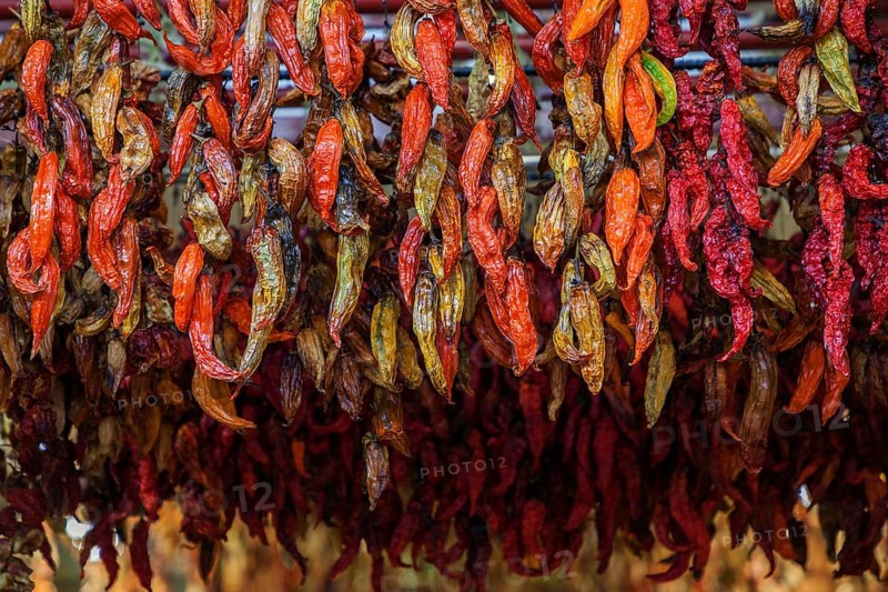 Dried chilli peppers