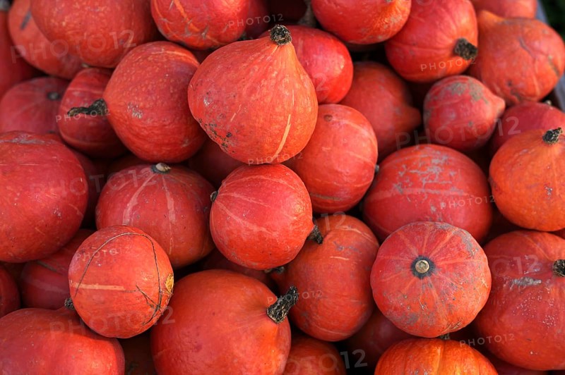 Pumpkins