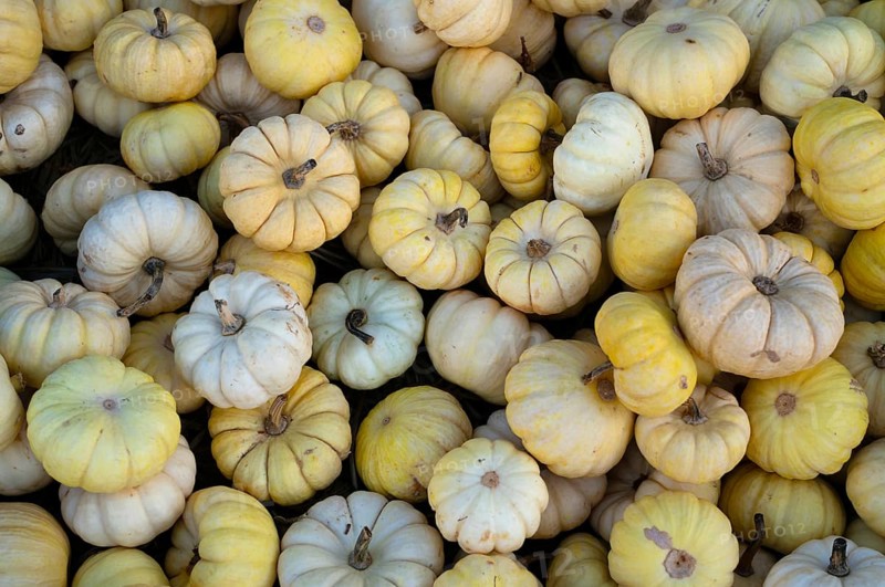 Pumpkins