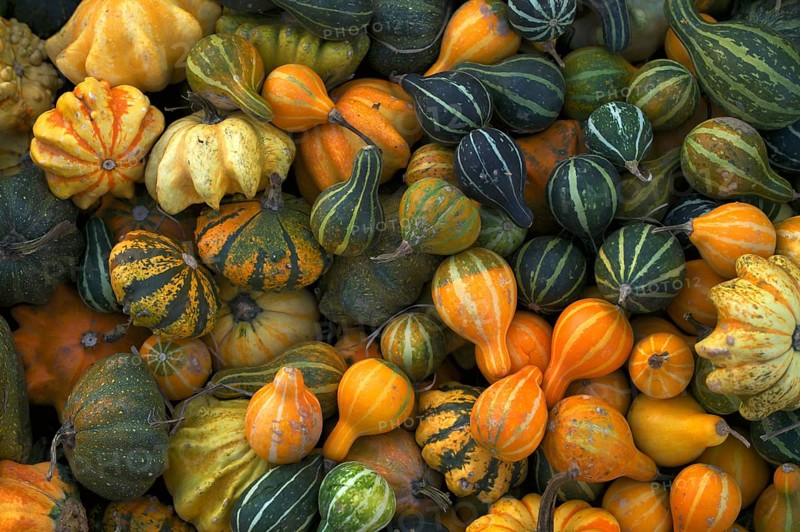 Pumpkins