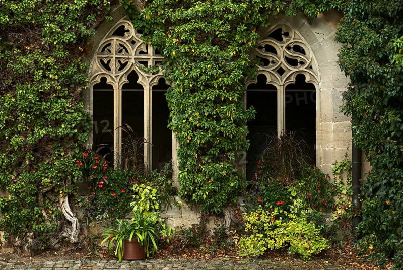 Overgrown dimension windows