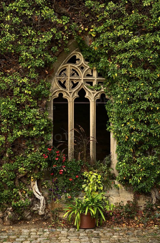 Overgrown dimension window