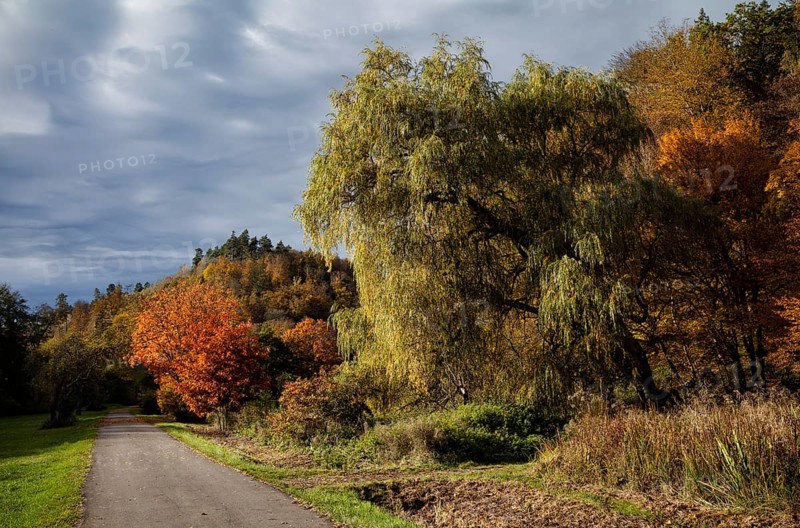 Hiking trail