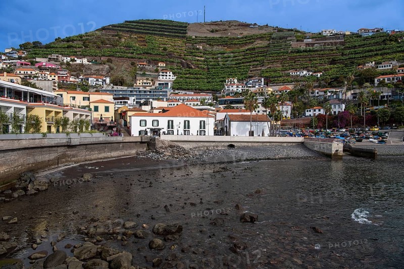 Port of Camara de Lobos