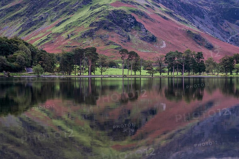 Reflection in Buttermere Lake
