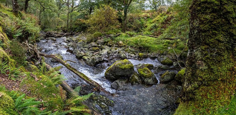 River Derwent