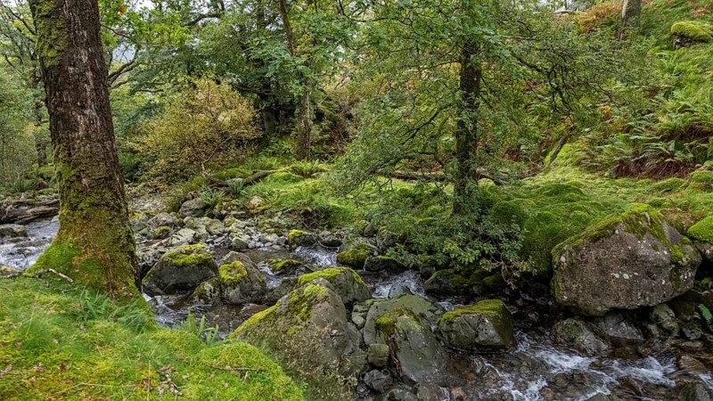 River Derwent