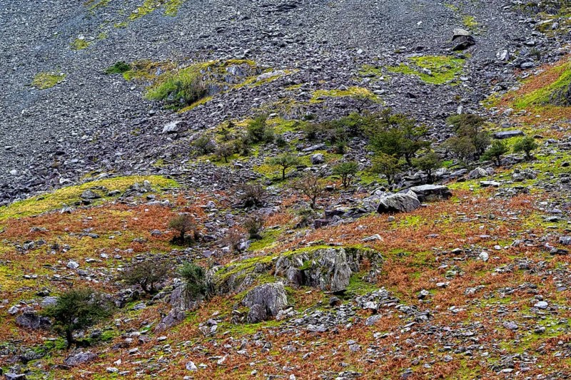 Mountain slopes at Honister Pass