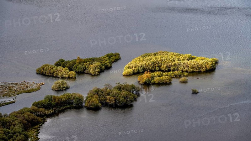Islands in the Lake