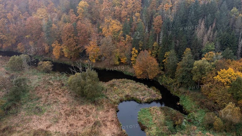River Kamp in autumn