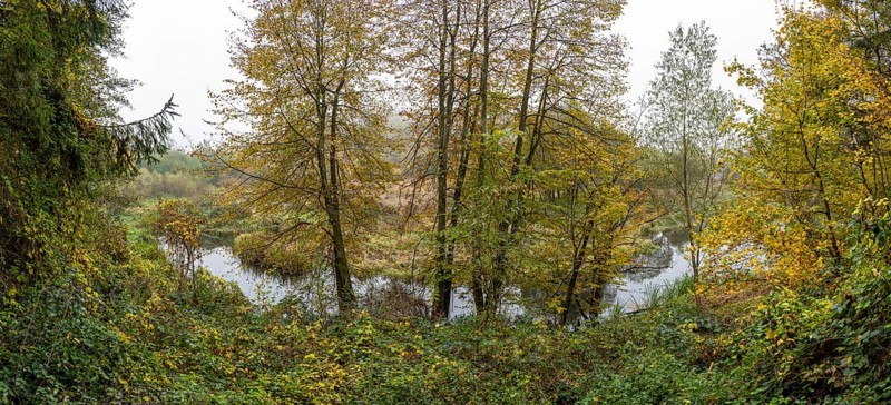 River Kamp in autumn