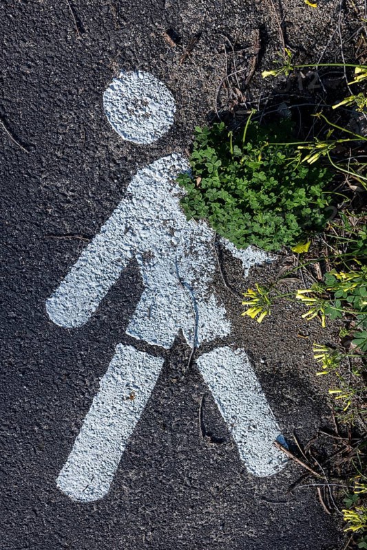 Stillised male sign for pedestrian walkway is overgrown by plants