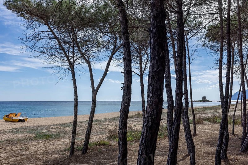 Pine grove on the beach with a yellow tretoot and in the distance the tower Torre Di Bari Sardo