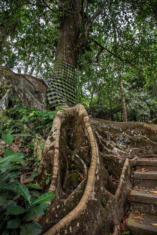 Goa Gajah