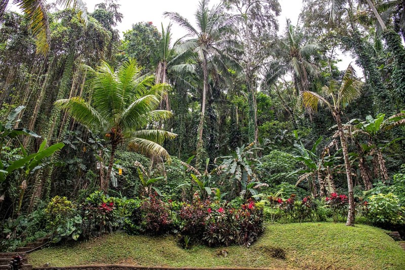 Goa Gajah