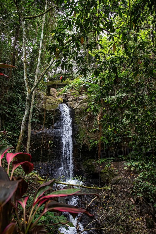 Goa Gajah