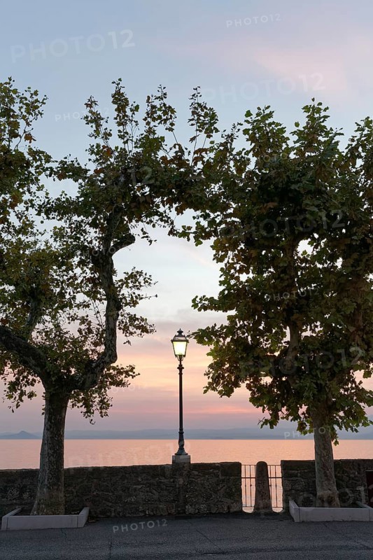 Promenade with plane trees on the lakeshore