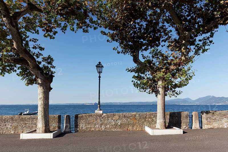 Lakeside promenade with plane trees