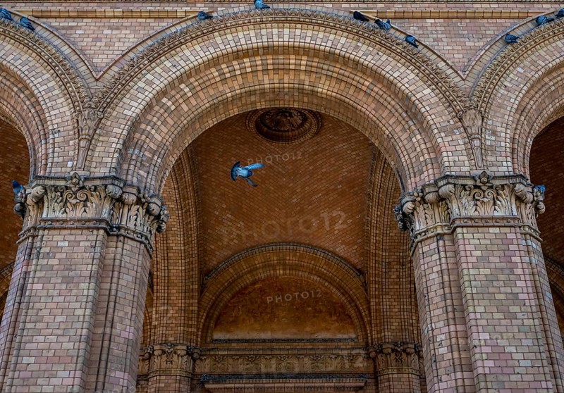 Ruin