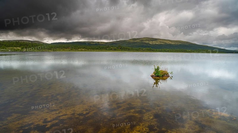 Overgrown rock in lake