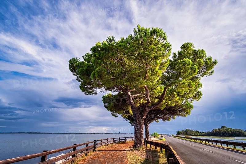 Embankment road to Grado