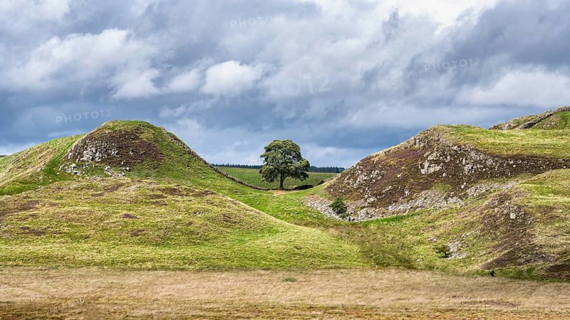 Sycamore Gap