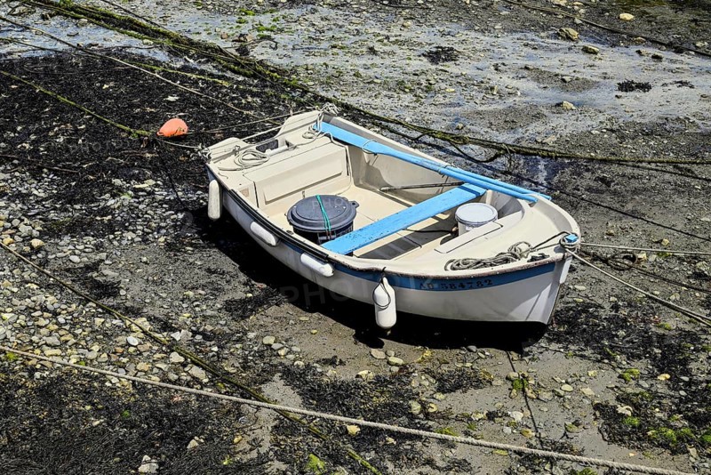 Small white boat