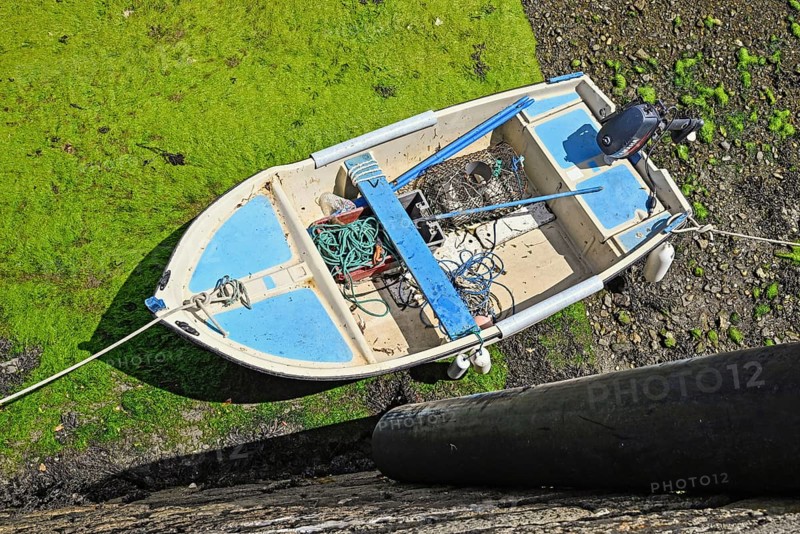 Small white and blue boat