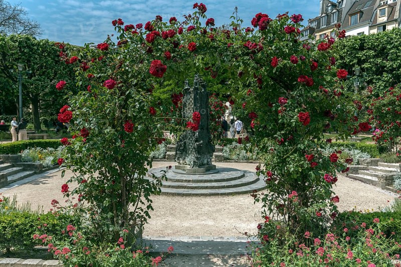 Rose arch in a park near Square René Viviani