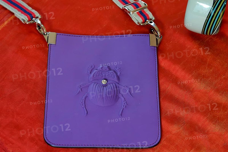Fashionable handbag with a scarab motif