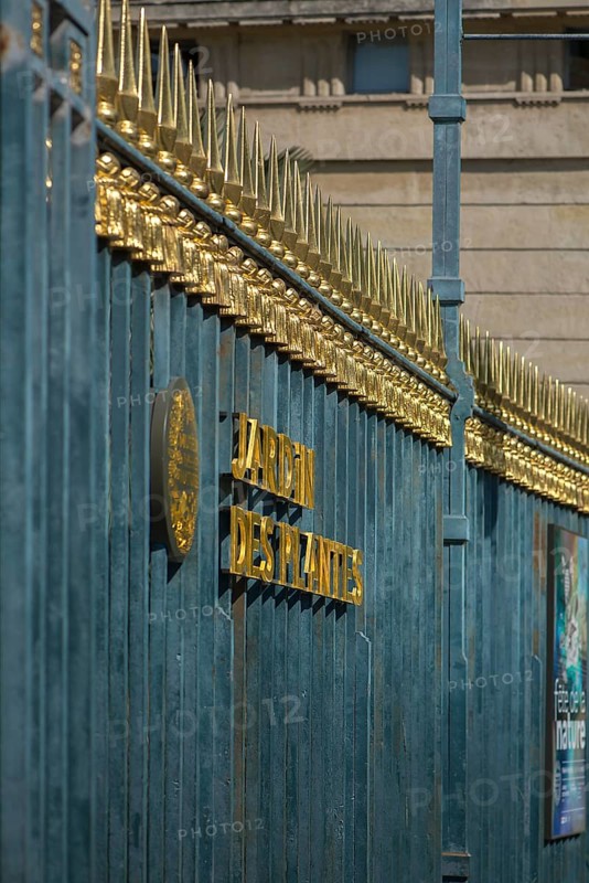 Lettering Jardin Des Plantes