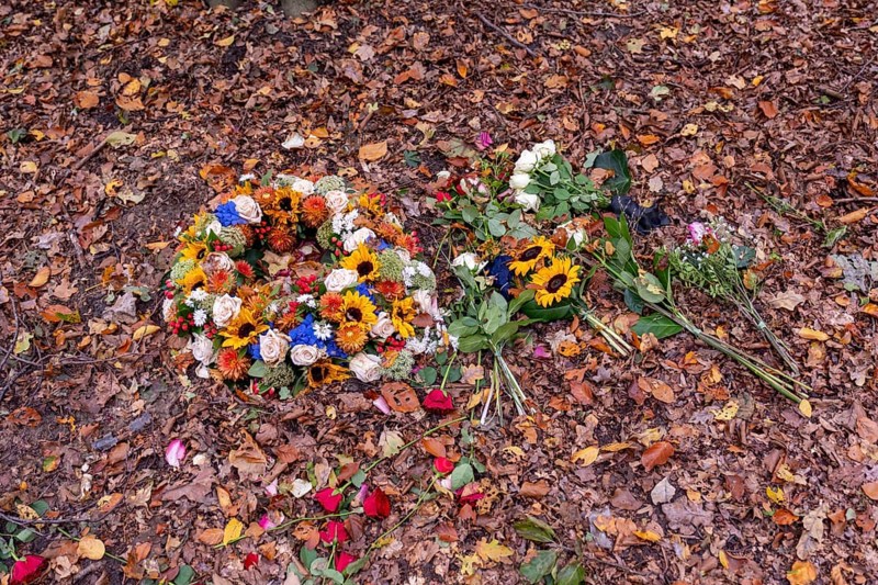 Flowers on autumn leaves in Seelwald