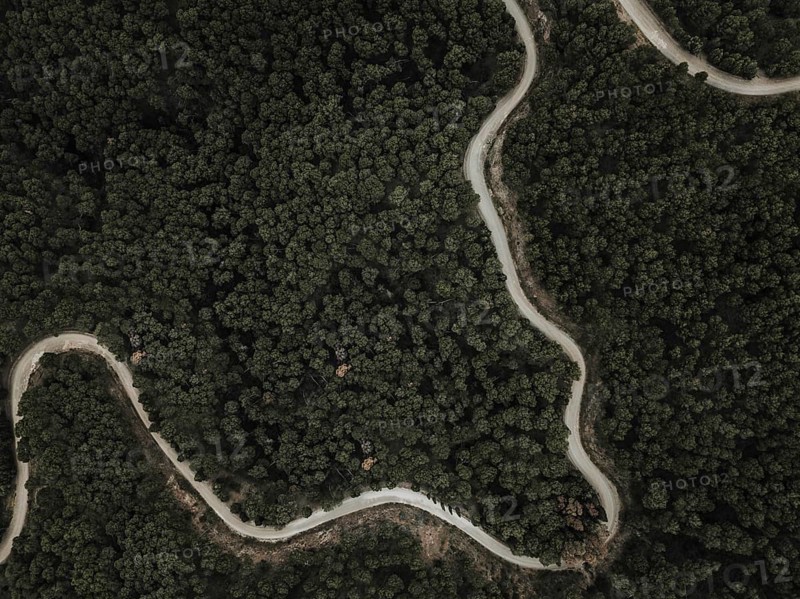 Aerial view winding road green tropical trees