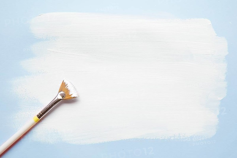 Arrangement brush paper with paint