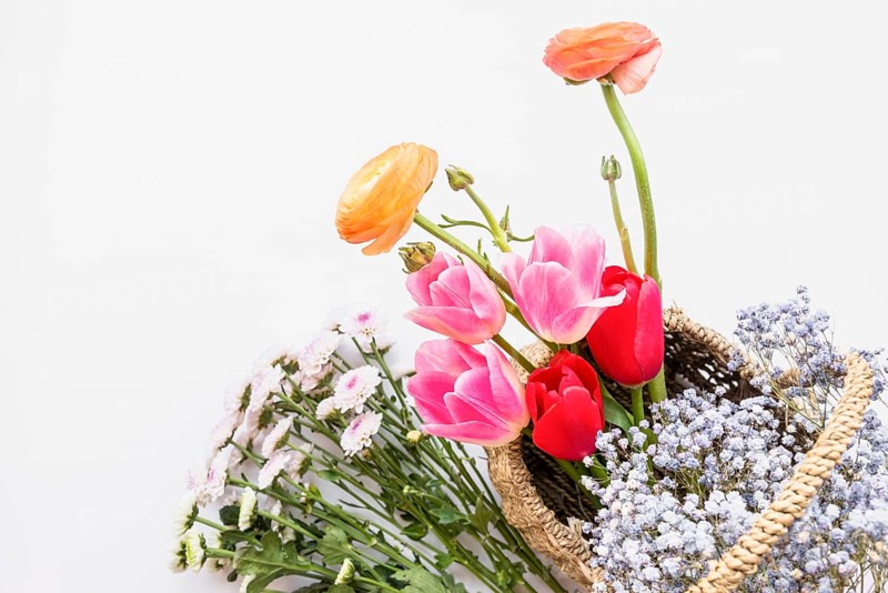 Arrangement flowers basket white background