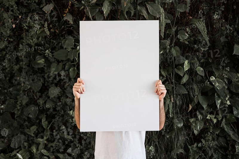 Board